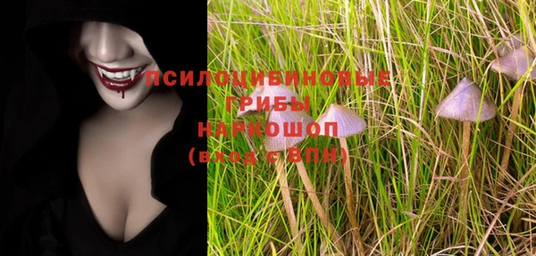 а пвп мука Абаза