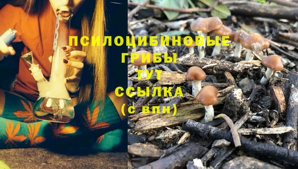 а пвп мука Абаза