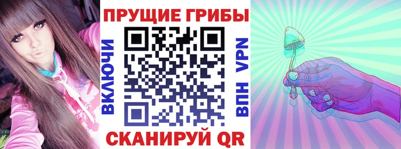 Галлюциногенные грибы Psilocybe  Урень 
